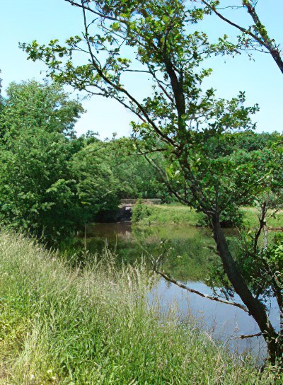 Le canal d'irrigation de Frahier Le canal d'irrigation de Frahier