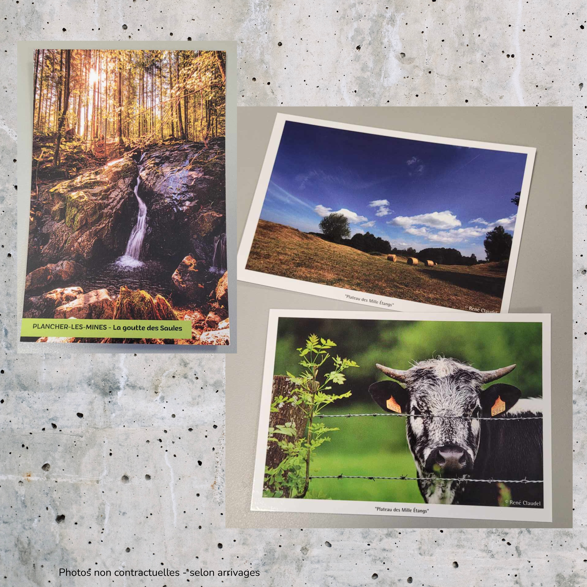 CARTES POSTALES 