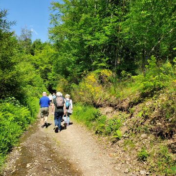 Randonnées entre "Histoire et Patrimoine" et "Nature" 