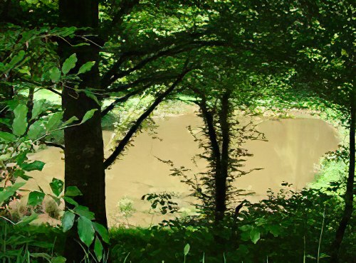 Forêt Domaniale du Chérimont Forêt Domaniale du Chérimont