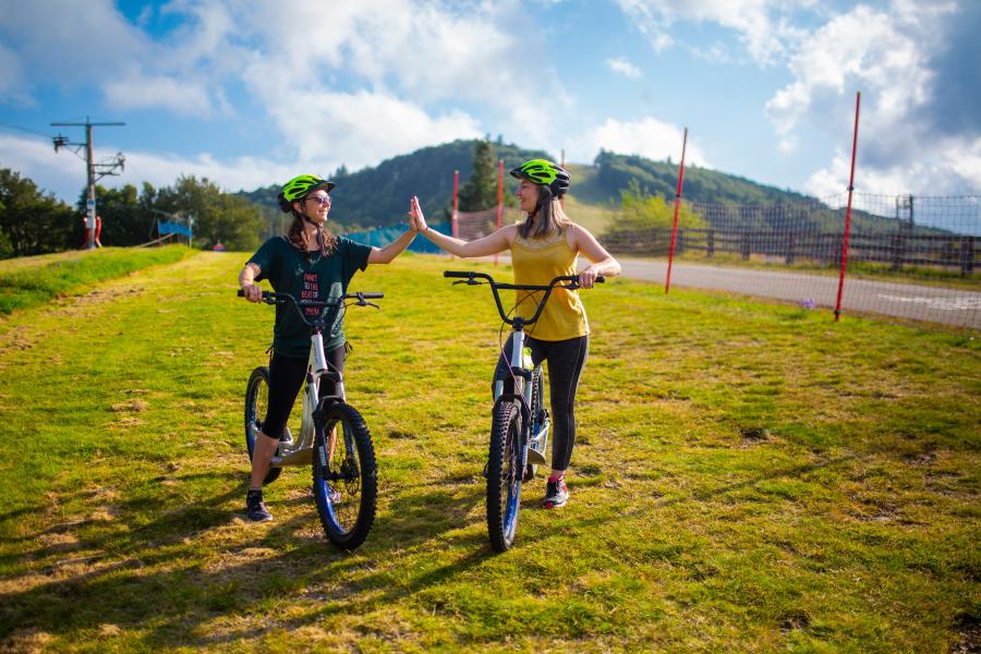 Roll'herbe ou trottinette sur herbe Roll'herbe ou trottinette sur herbe